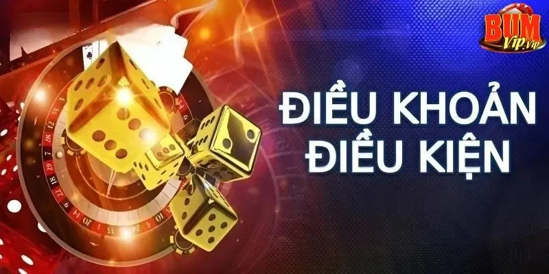 Điều khoản & điều kiện Bumvip - Toàn bộ thông tin cần biết 3 cac-quy-dinh-chi-tiet-ve-dieu-khoan-dieu-kien-tai-san-choi