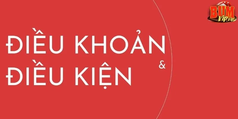 Điều khoản & điều kiện Bumvip - Toàn bộ thông tin cần biết 2 vai-tro-cua-dieu-kien-va-dieu-khoan-tai-san-choi